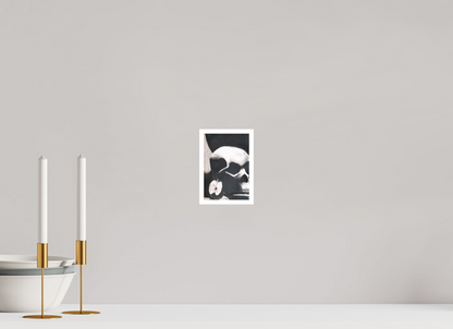 4 x 5.9″, Skully Skully
